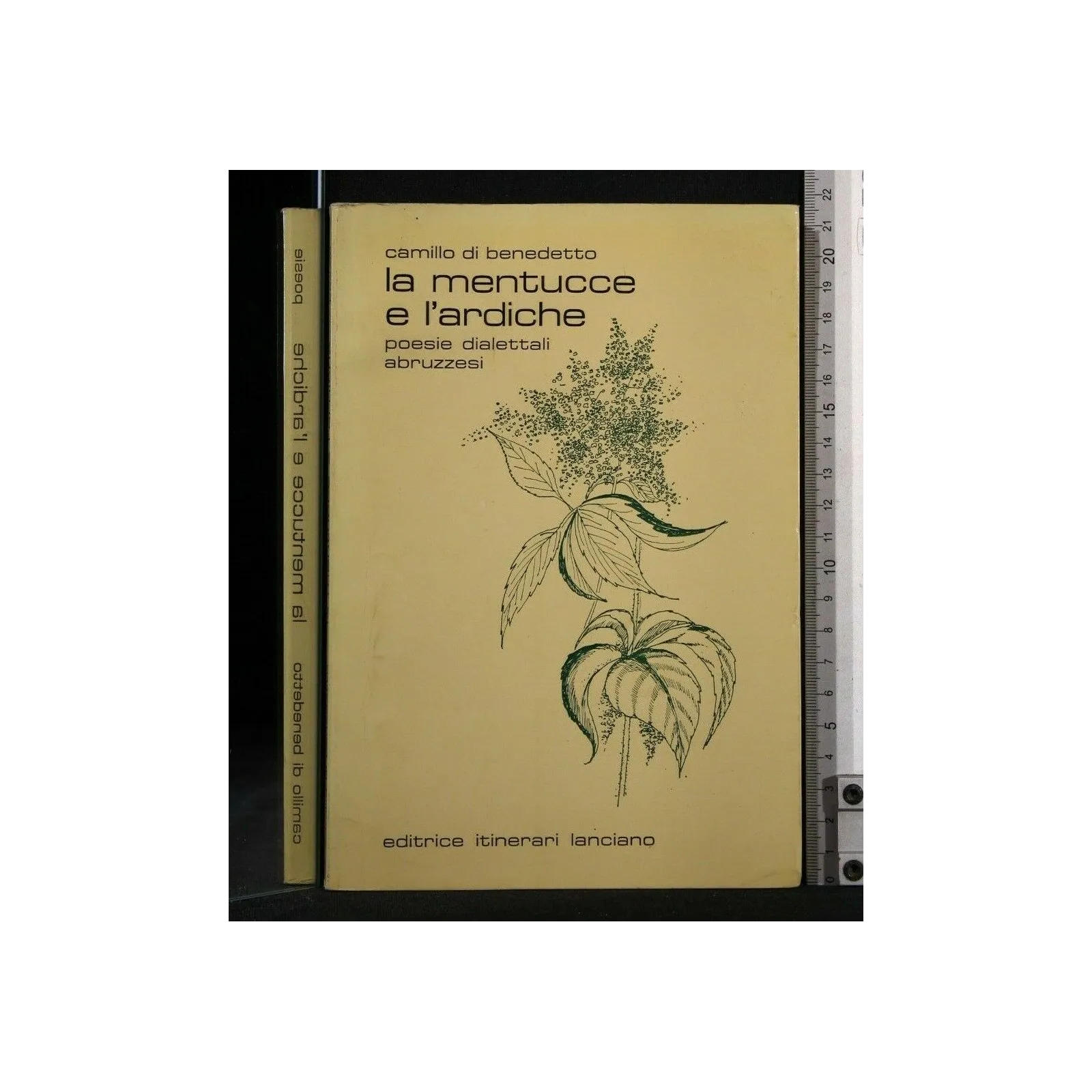 LA MENTUCCE E L'ARDICHE