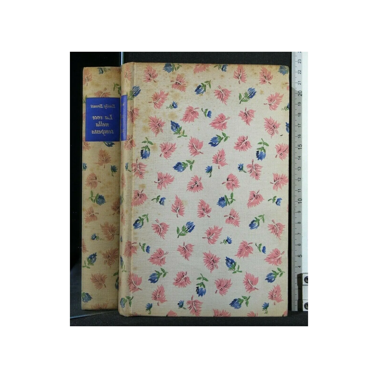 LA VOCE NELLA TEMPESTA