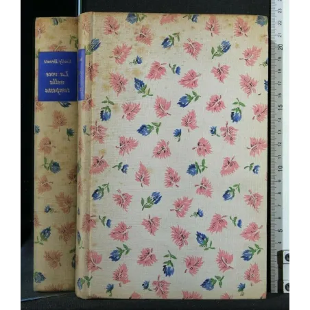 LA VOCE NELLA TEMPESTA