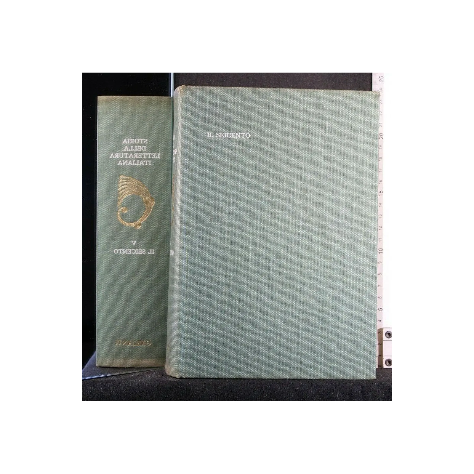 STORIA DELLA LETTERATURA ITALIANA IL SEICENTO VOL. 5