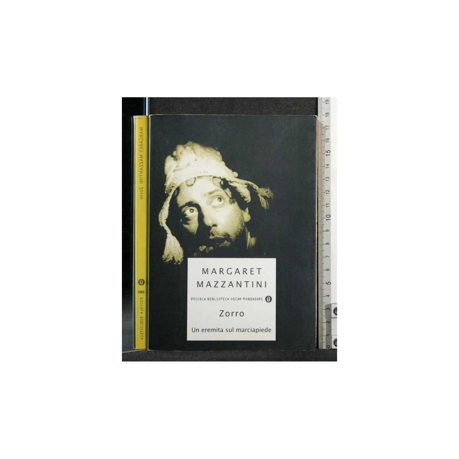 ZORRO UN EREMITA SUL MARCIAPIEDE