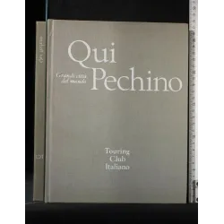 GRANDI CITTA' DEL MONDO QUI PECHINO