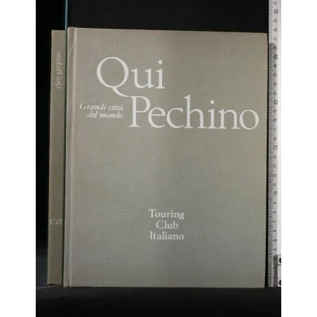 GRANDI CITTA' DEL MONDO QUI PECHINO