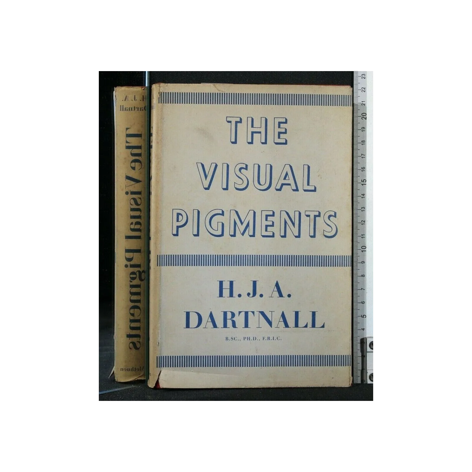 THE VISUAL PIGMENTS