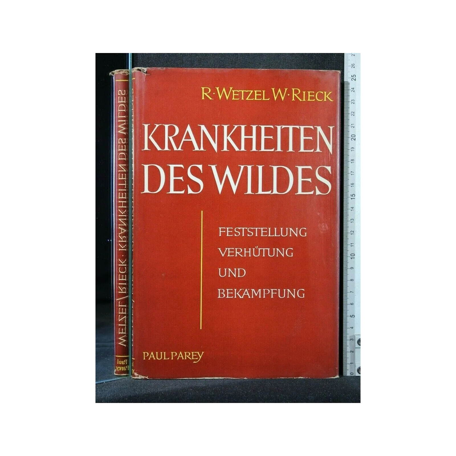 KRANKHEITEN DES WILDES