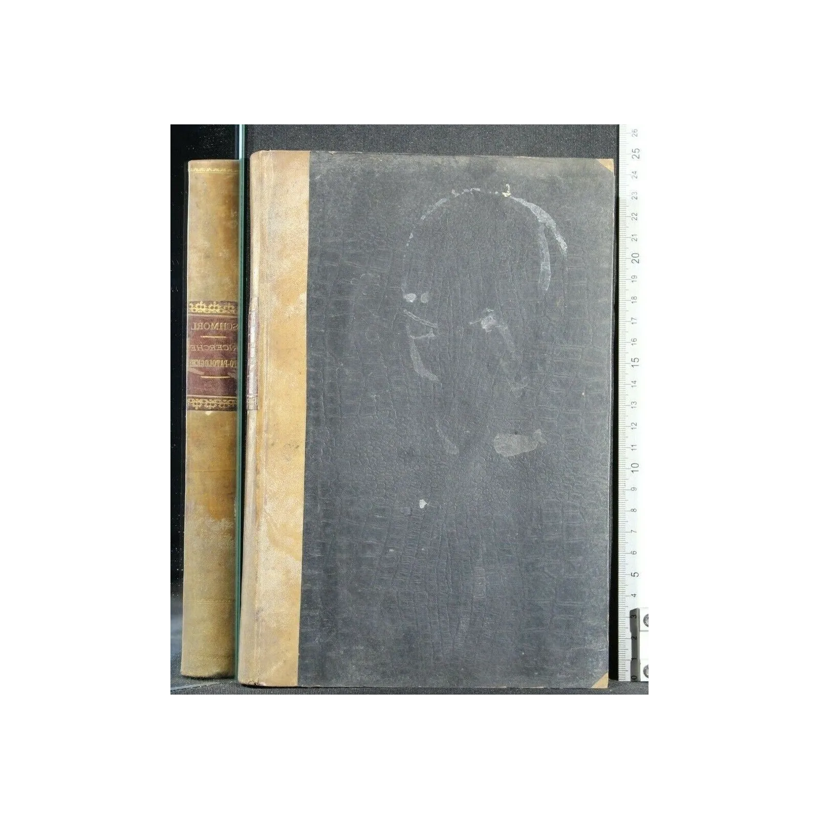 I METODI DI ESAME NELLE RICERCHE ISTO-PATOLOGICHE