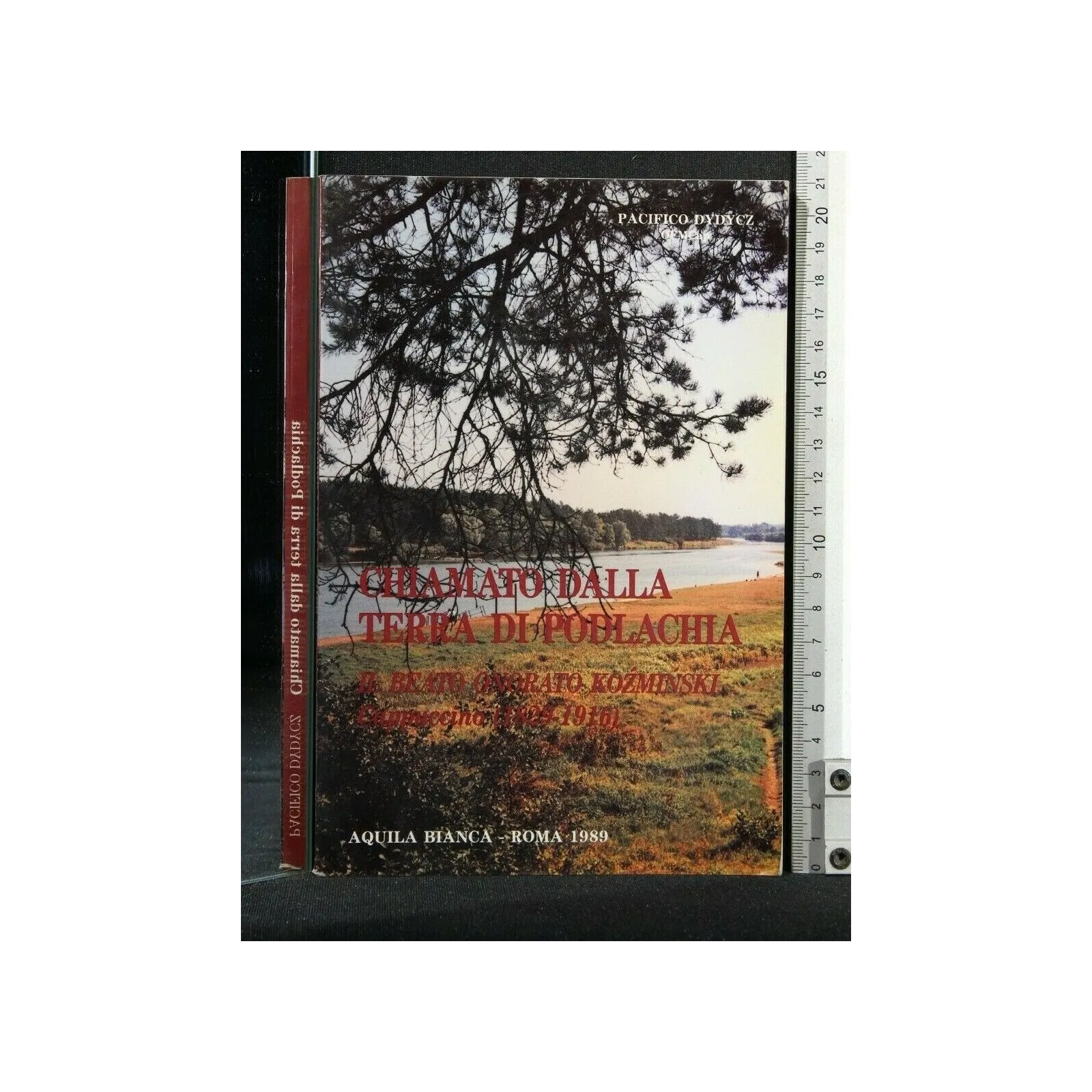 CHIAMATO DALLA TERRA DI POLDLACHIA