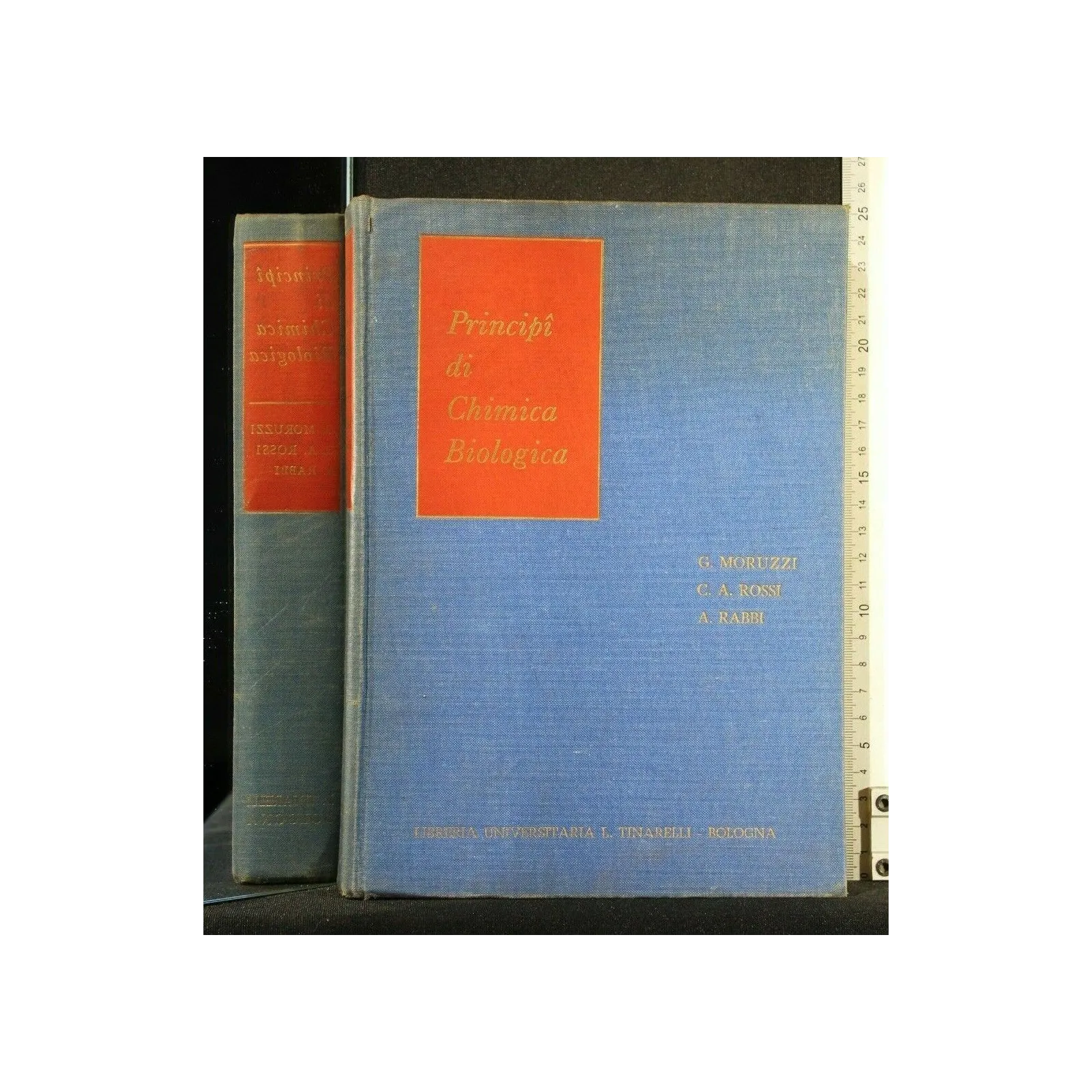 PRINCIPI DI CHIMICA BIOLOGICA