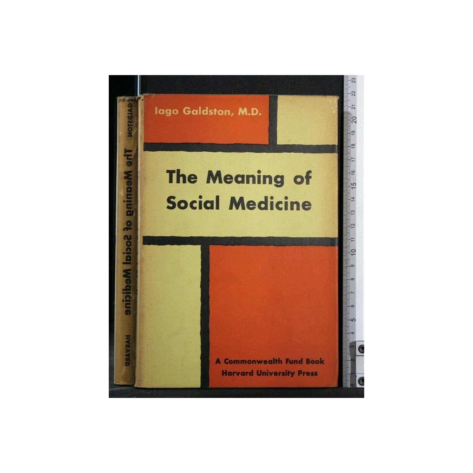 THE MEANING OF SOCIAL MEDICINE