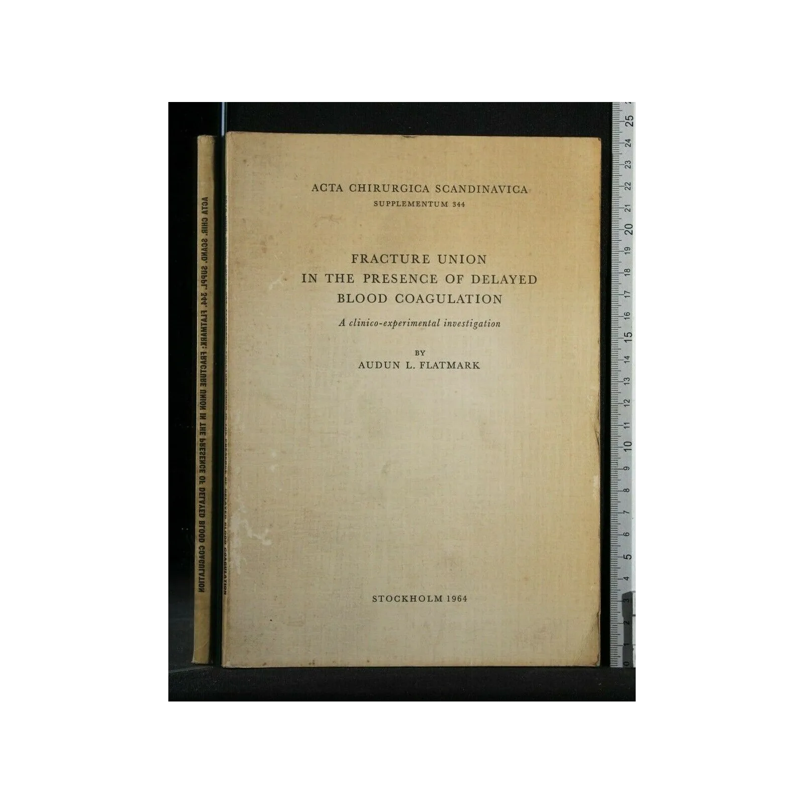 FRACTURE UNION IN THE PRESENCE OF DELAYED BLOOD COAGULATION A