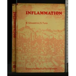 INFLAMMATION