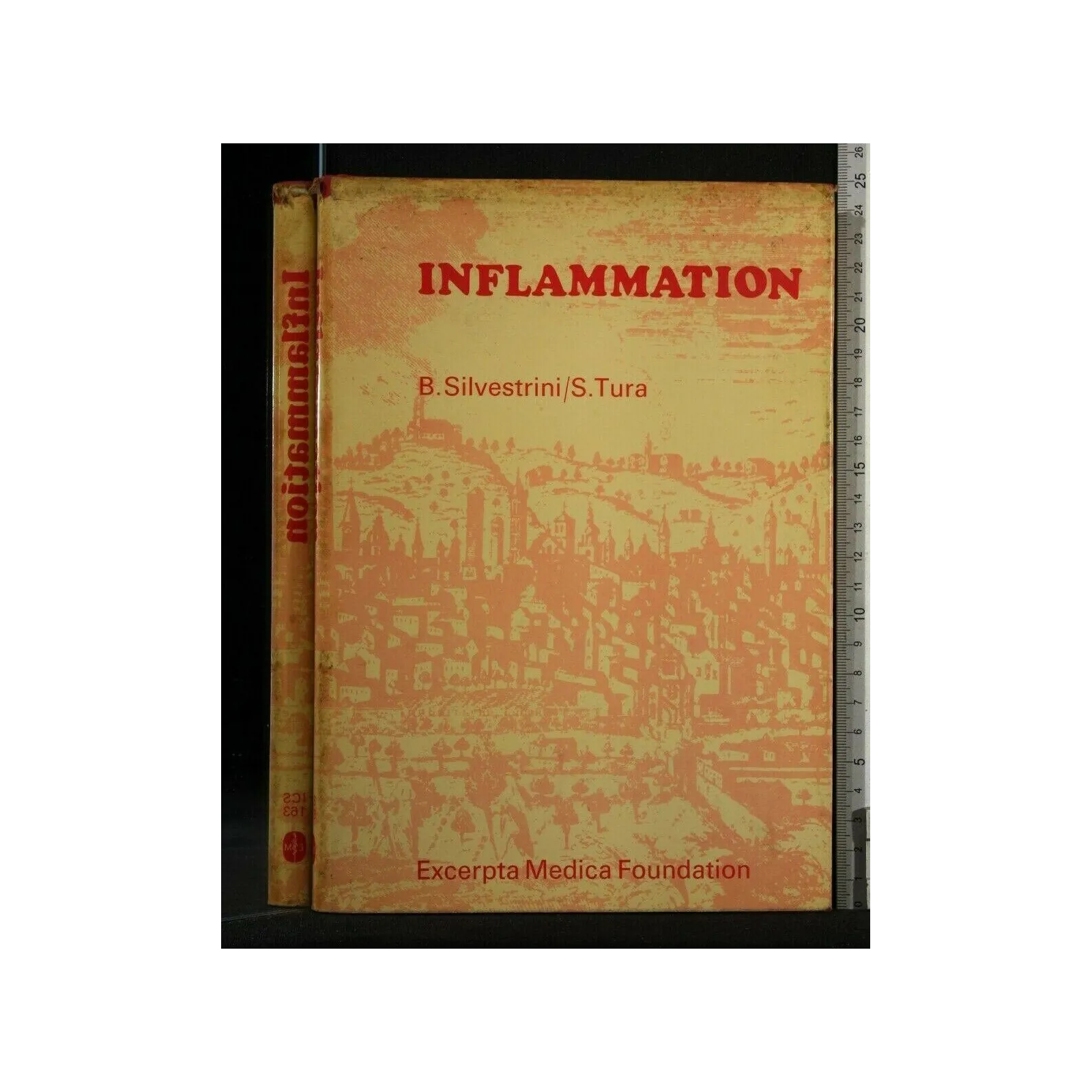 INFLAMMATION
