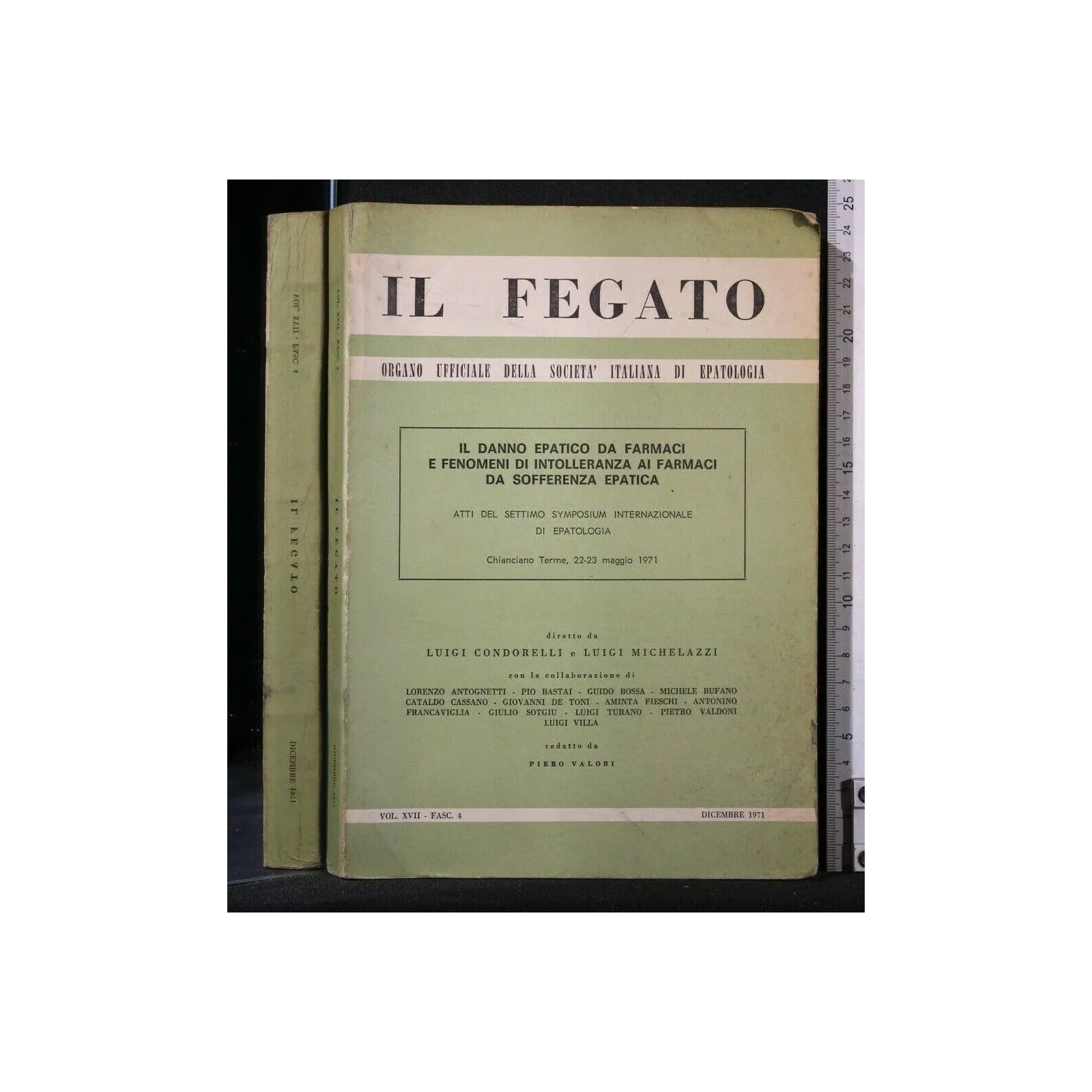 IL FEGATO ORGANO UFFICIALE DELLA SOCIETA' ITALIANA DI EPATOLOGIA