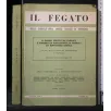 IL FEGATO ORGANO UFFICIALE DELLA SOCIETA' ITALIANA DI EPATOLOGIA