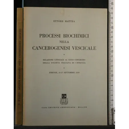 PROCESSI BIOCHIMICI NELLA CANCEROGENESI VESCICALE RELAZIONE
