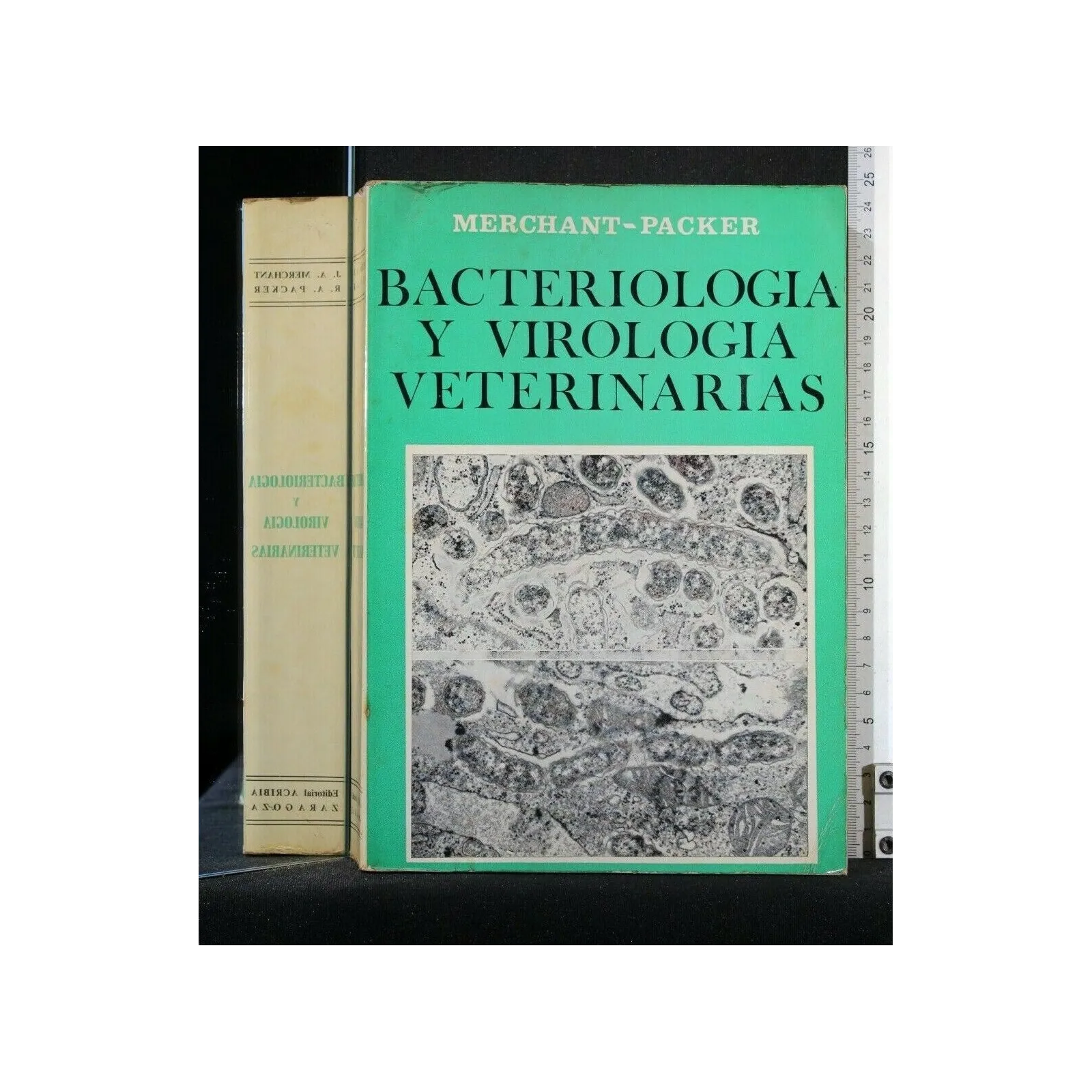 BACTERIOLOGIA Y VIROLOGIA VETERINARIAS