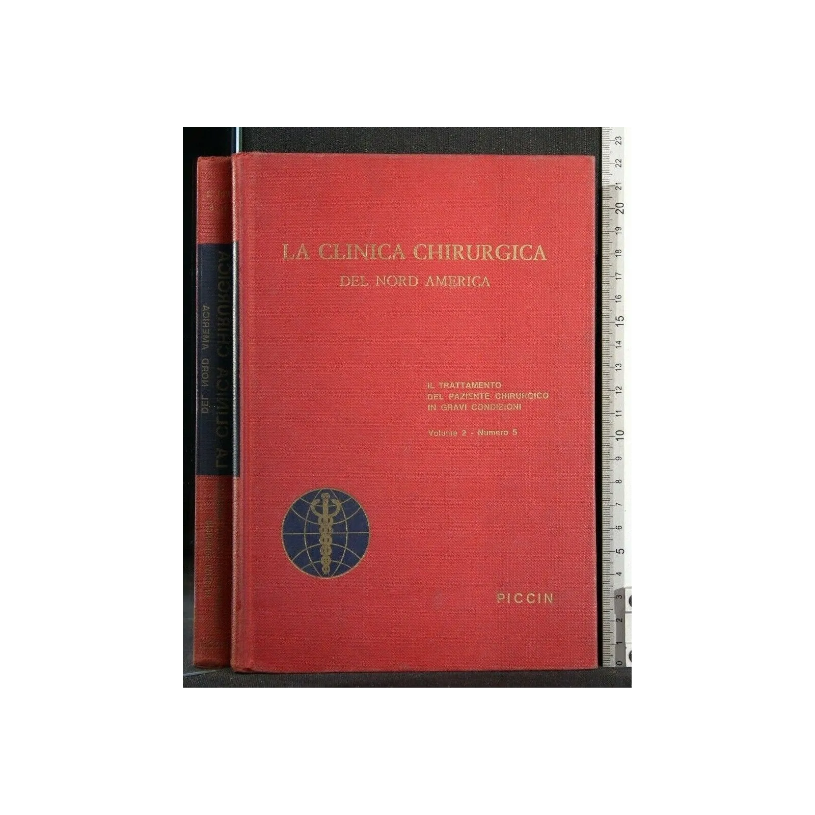 LA CLINICA CHIRURGICA DEL NORD AMERICA IL TRATTAMENTO DEL