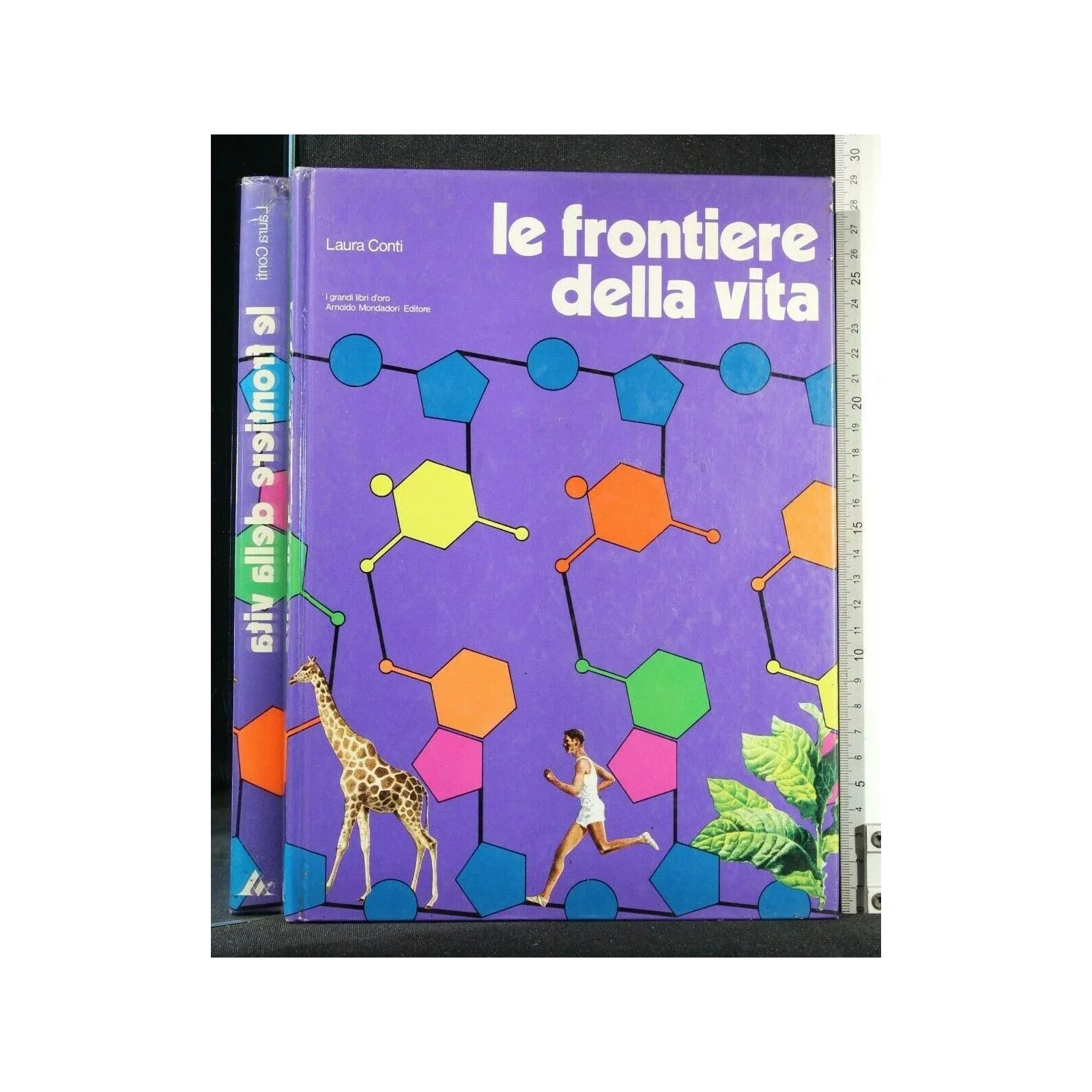 LE FRONTIERE DELLA VITA