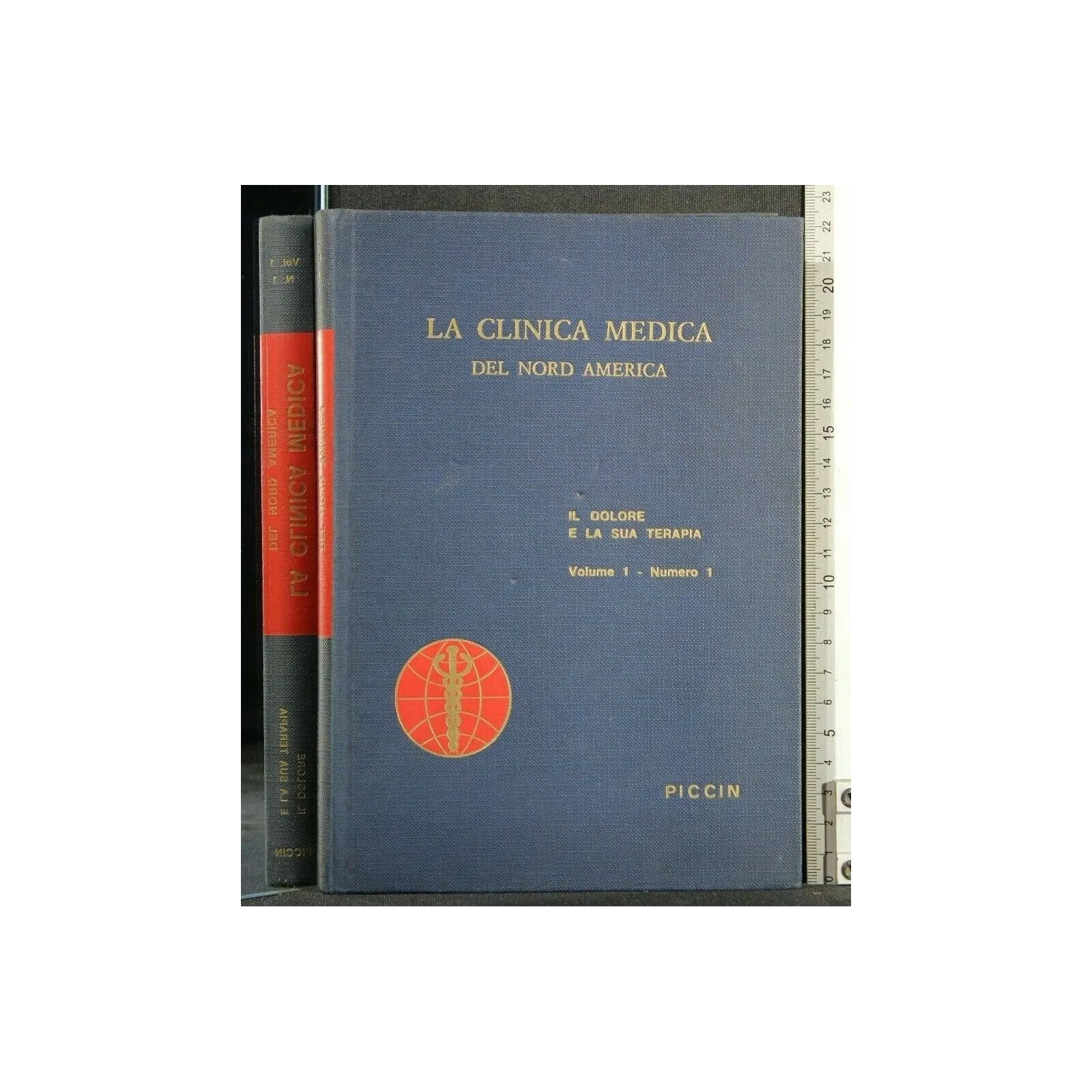 LA CLINICA MEDICA DEL NORD AMERICA IL DOLORE E LA SUA TERAPIA