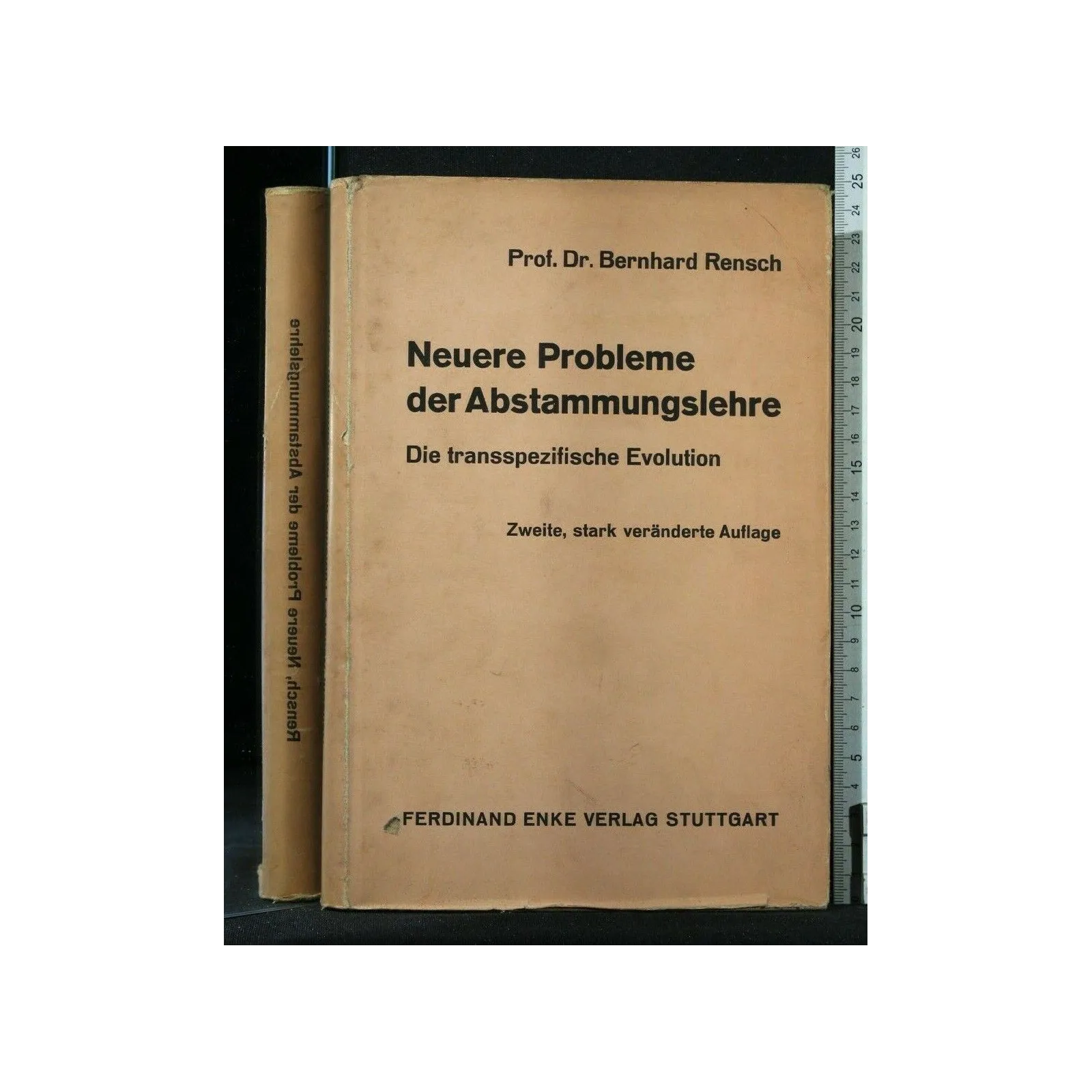 NEUERE PROBLEME DER ABSTAMMUNGSLEHRE