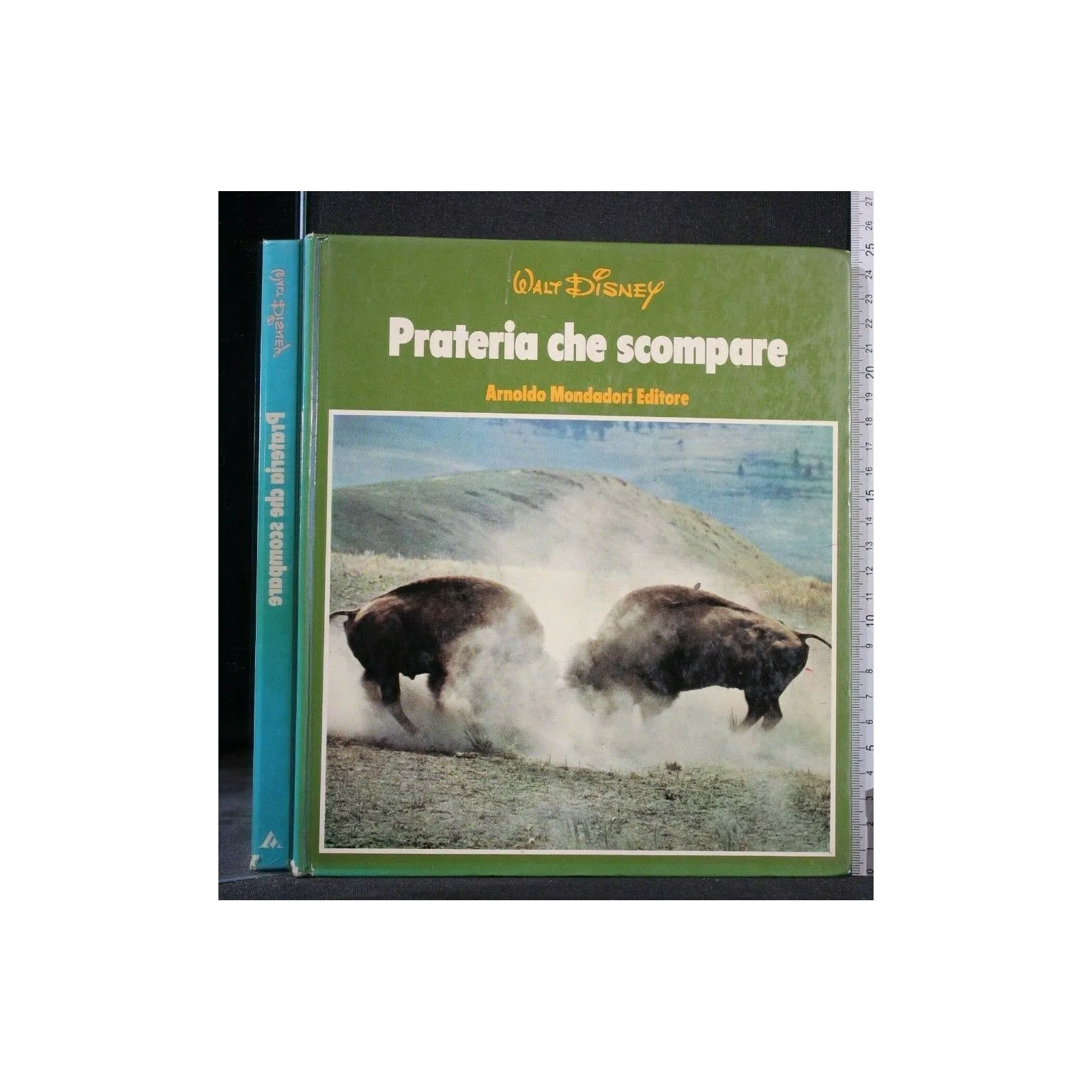 PRATERIA CHE SCOMPARE