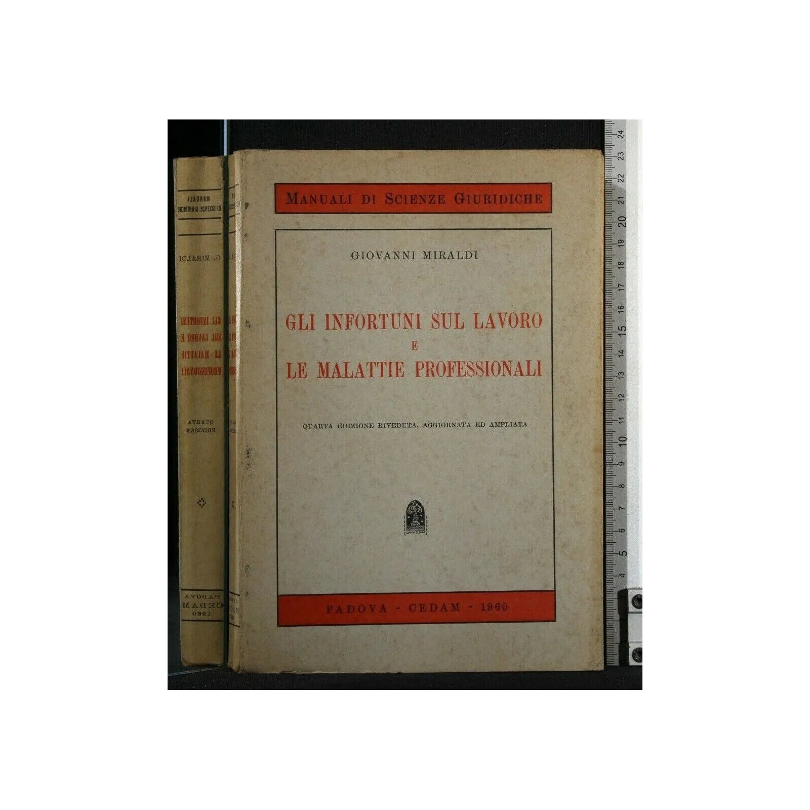 GLI INFORTUNI SUL LAVORO E LE MALATTIE PROFESSIONALI
