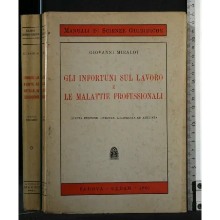 GLI INFORTUNI SUL LAVORO E LE MALATTIE PROFESSIONALI