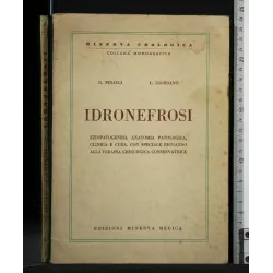 IDRONEFROSI