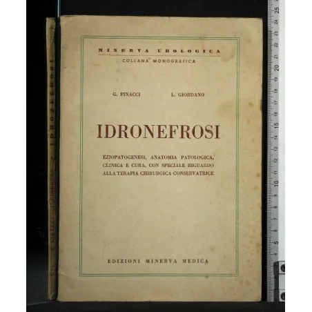 IDRONEFROSI