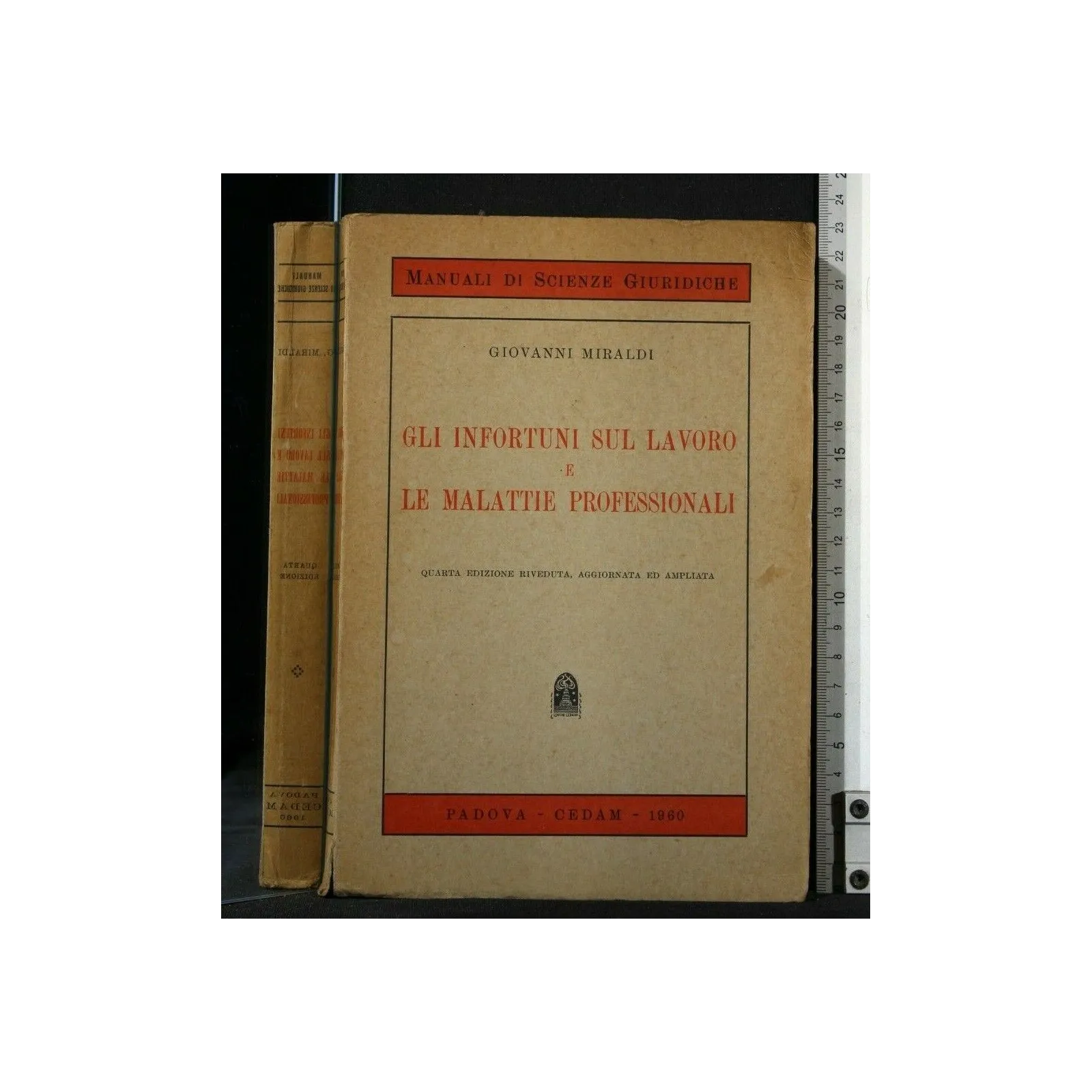GLI INFORTUNI SUL LAVORO E LE MALATTIE PROFESSIONALI