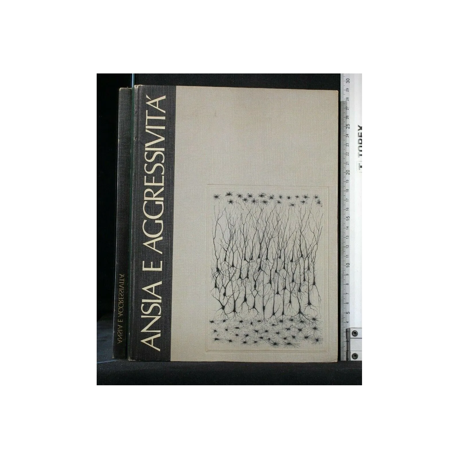 ANSIA E AGGRESSIVITA'