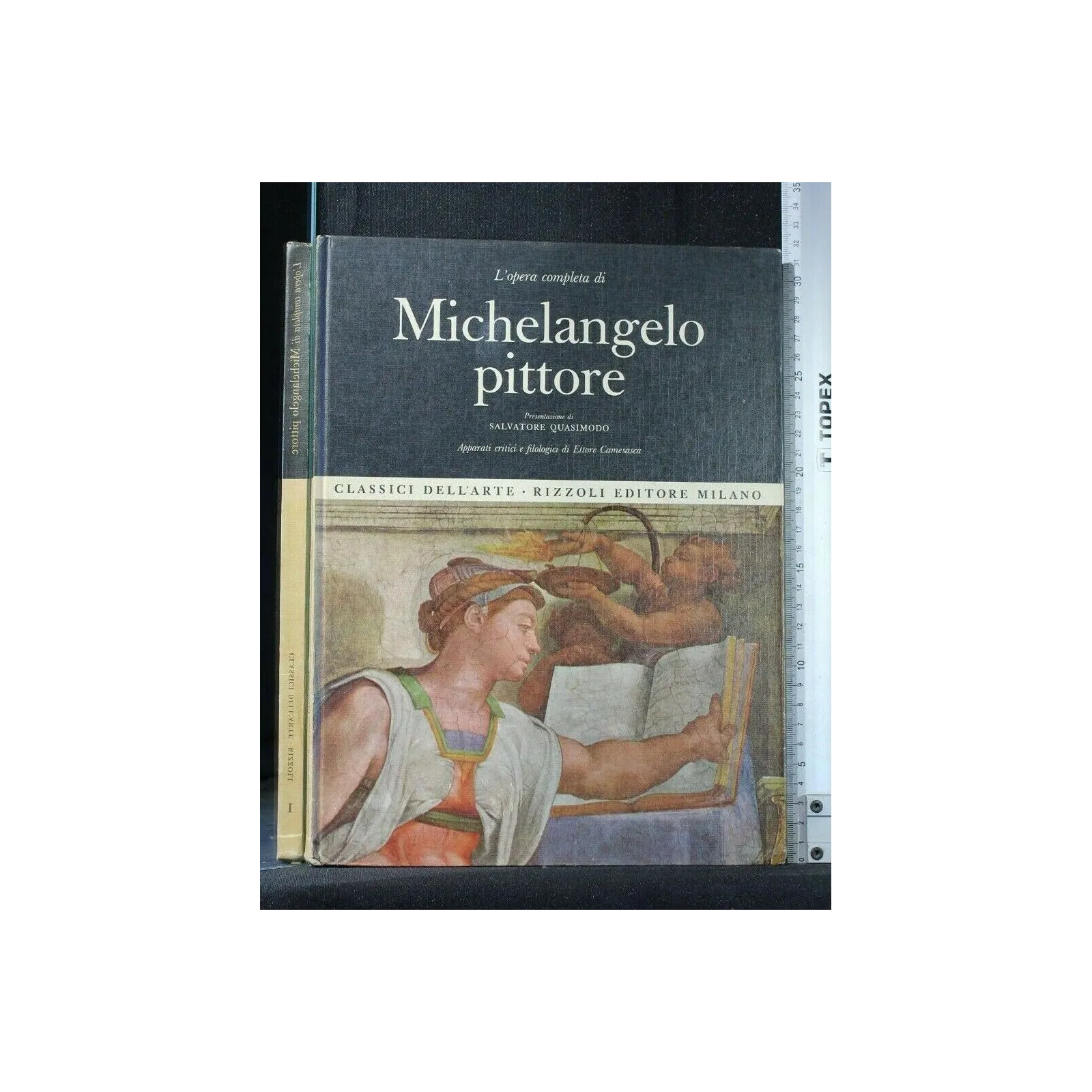 L'OPERA COMPLETA DI MICHELANGELO PITTORE