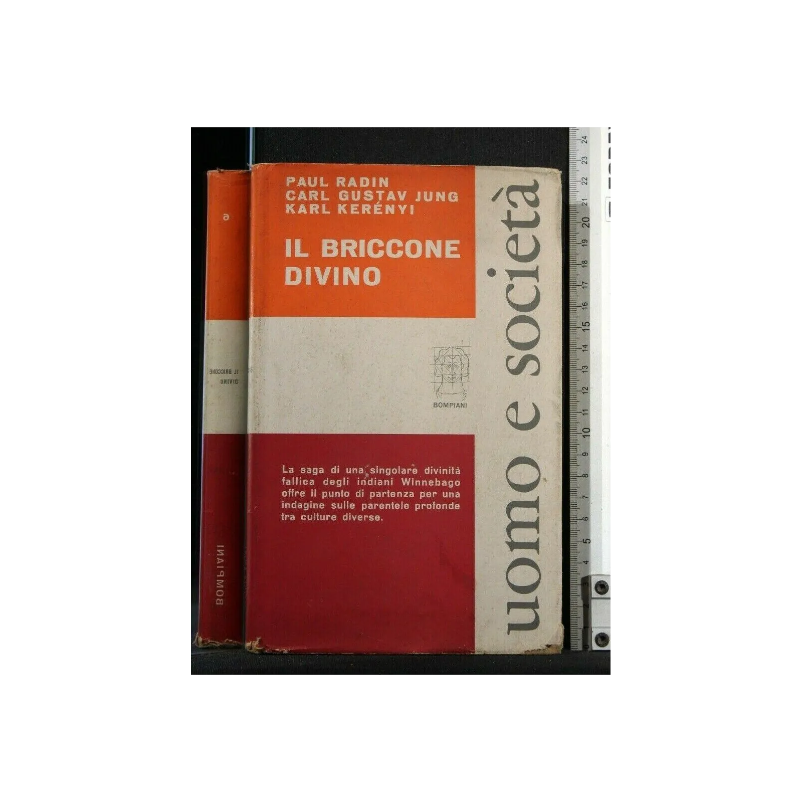 UOMO E SOCIETA' IL BRICCONE DIVINO