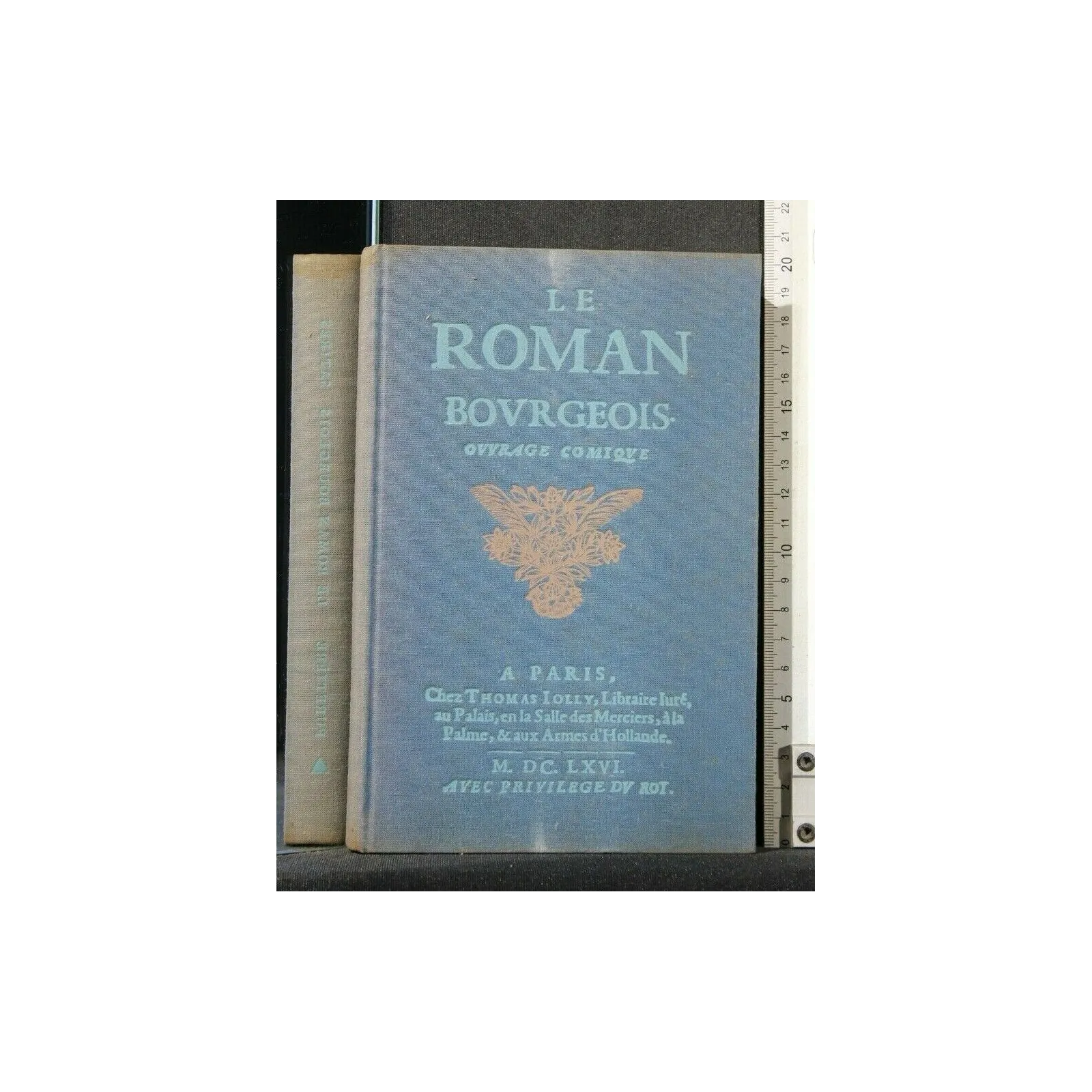 LE ROMAN BOURGEOIS OUVRAGE COMIQUE