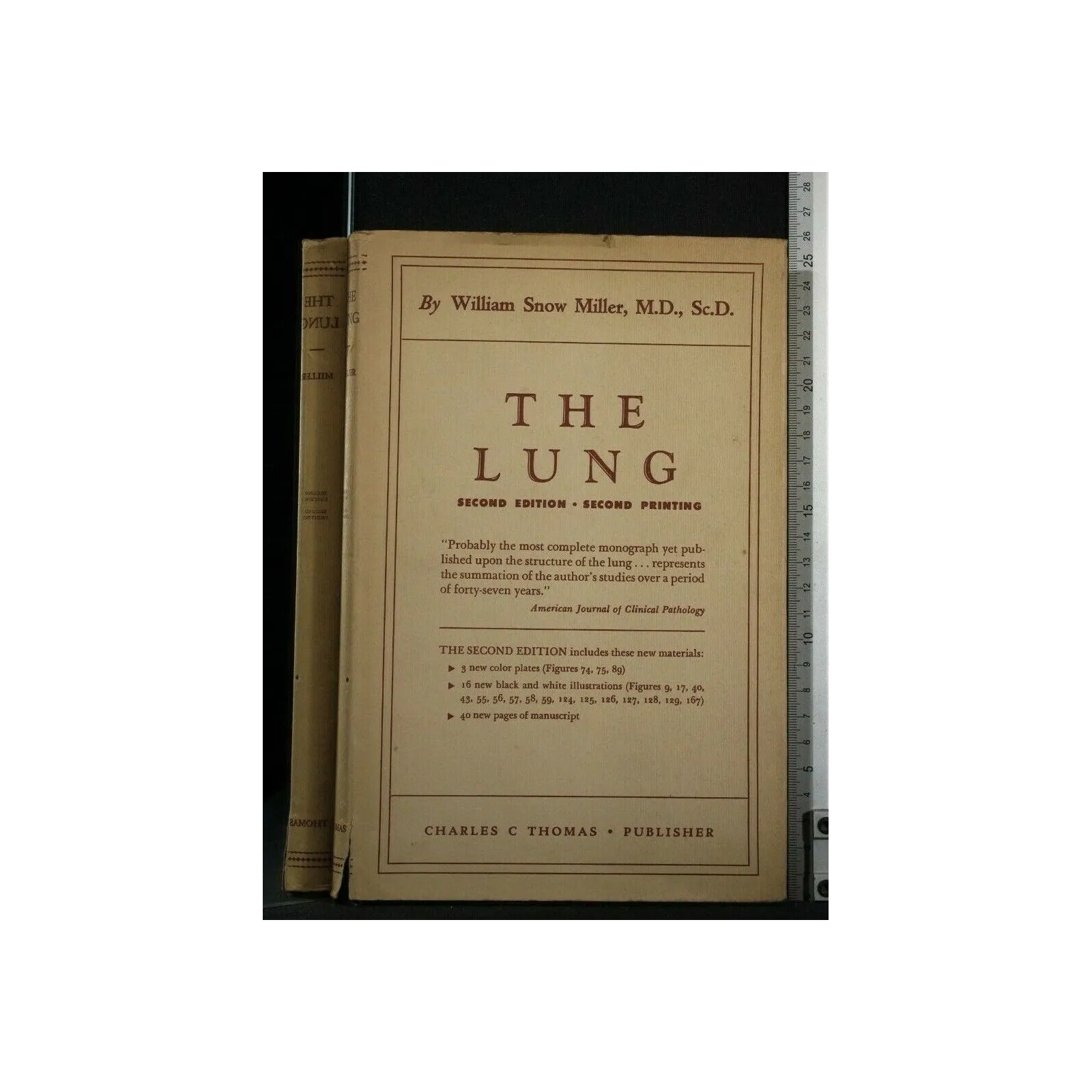 THE LUNG