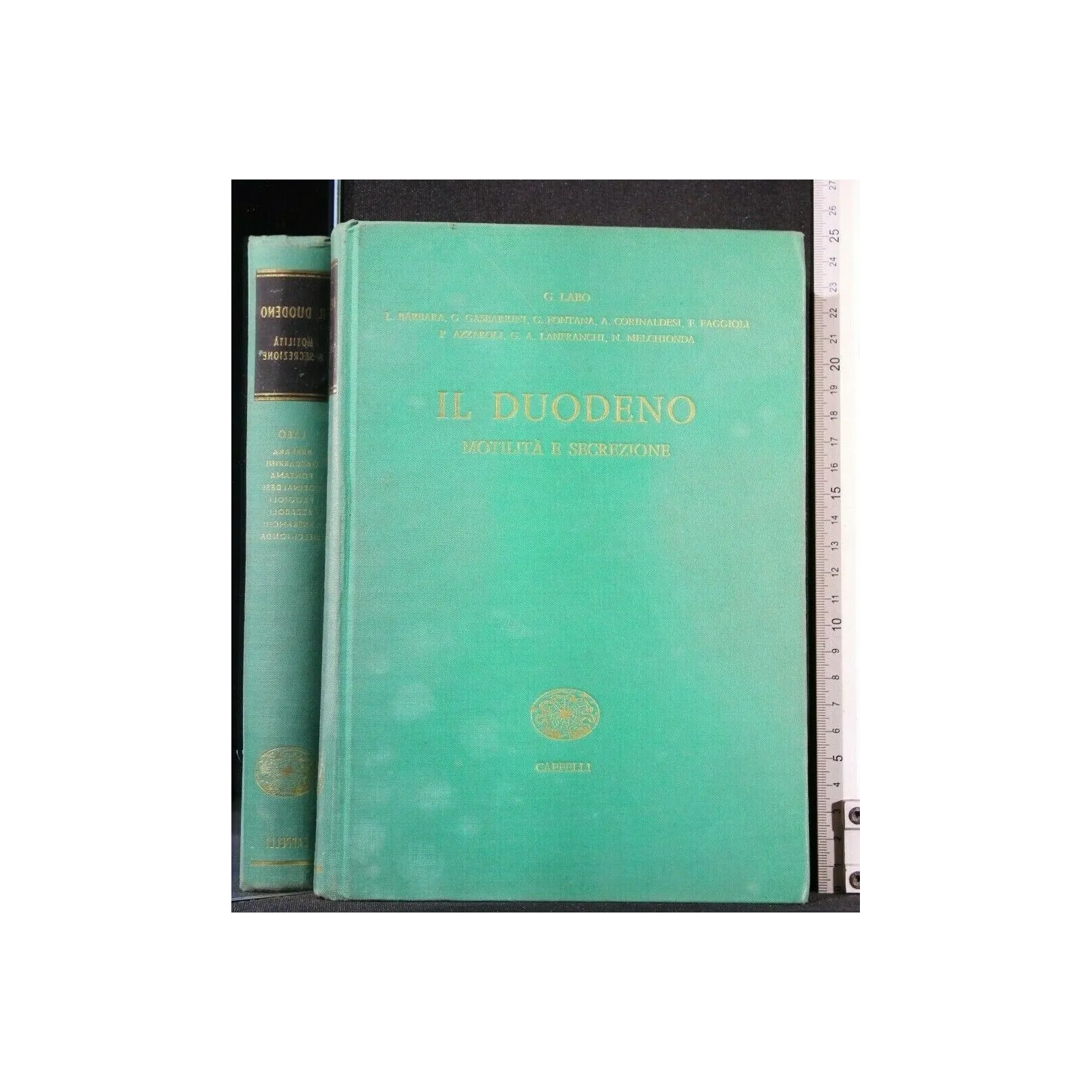 IL DUODENO MOTILITA' E SECREZIONE