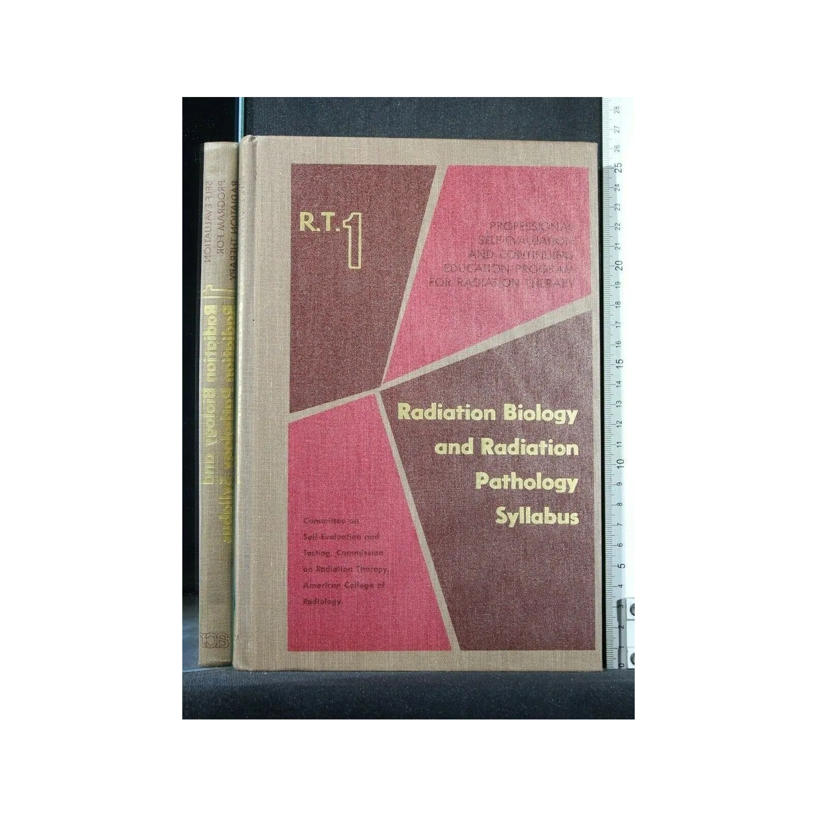 R.T.1 RADIATION BIOLOGY AND RADIATION PATHOLOGY SYLLABUS