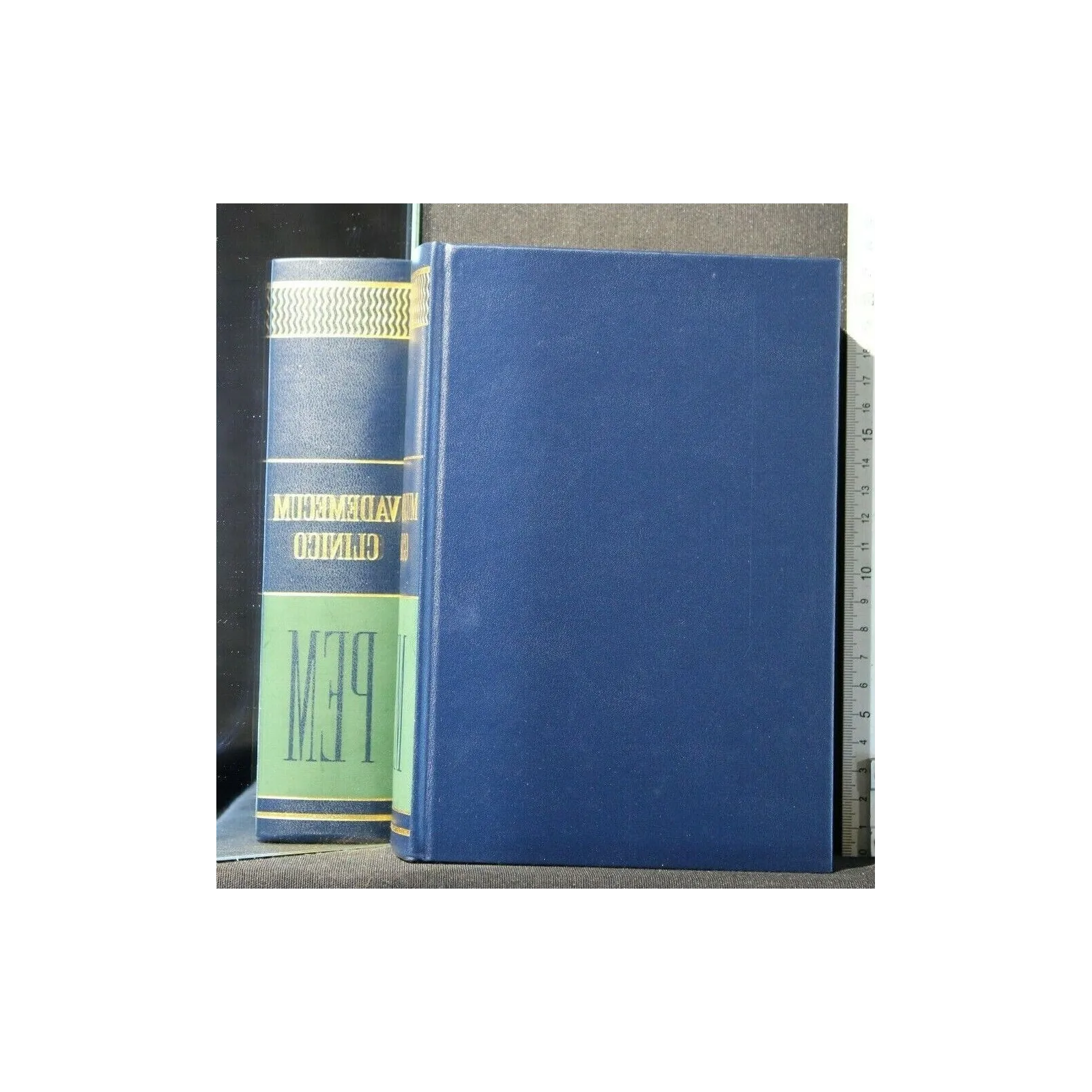 VADEMECUM CLINICO DI MEDICINA PRATICA