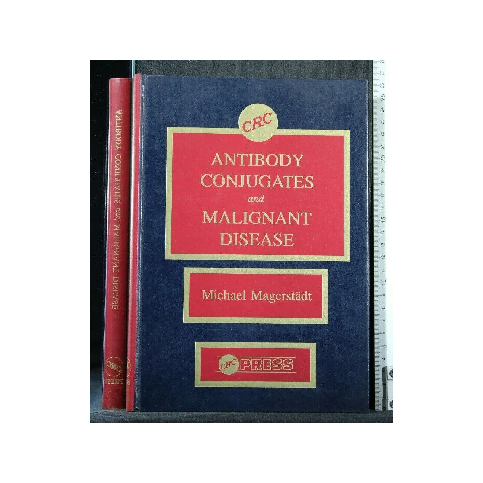 ANTIBODY CONJUGATES AND MALIGNAT DISEASE