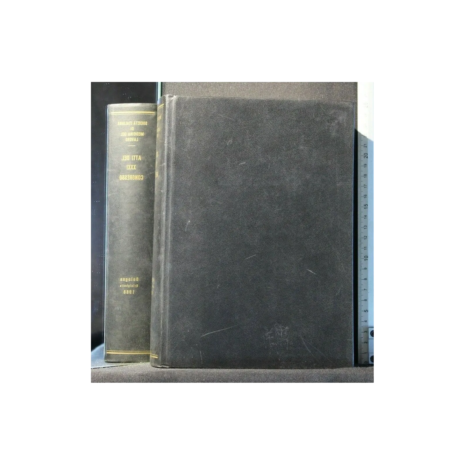 ATTI DEL XXXI CONGRESSO NAZIONALE DI MEDICINA DEL LAVORO SOCIETÀ