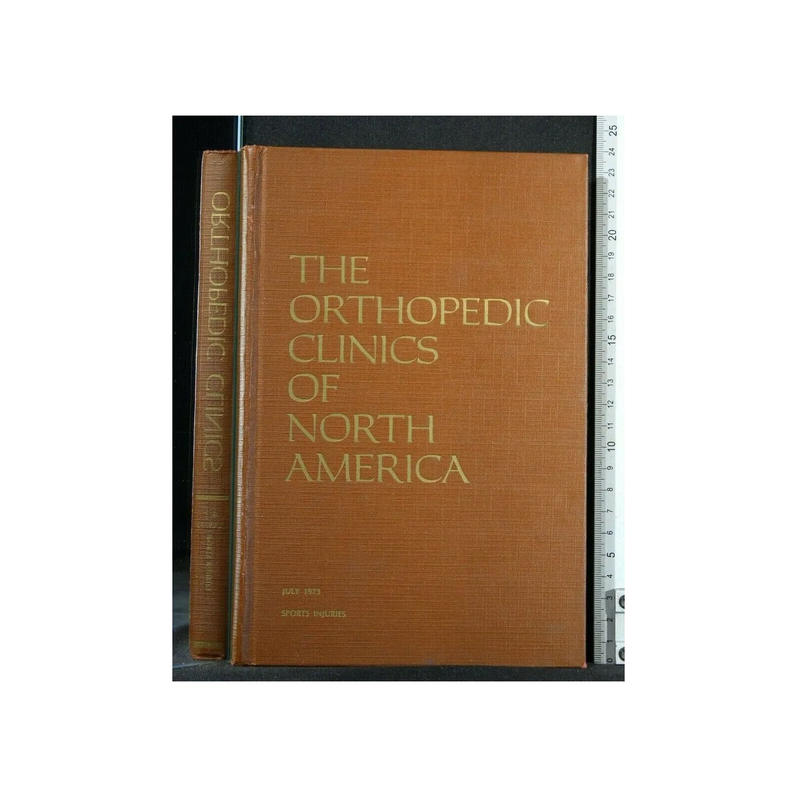 THE ORTHOPEDIC CLINICS OF NORTH AMERICA SPORTS INJURIES VOL 4 N.
