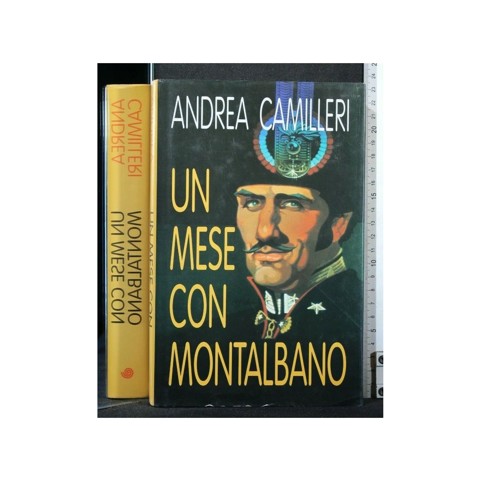 UN MESE CON MONTALBANO