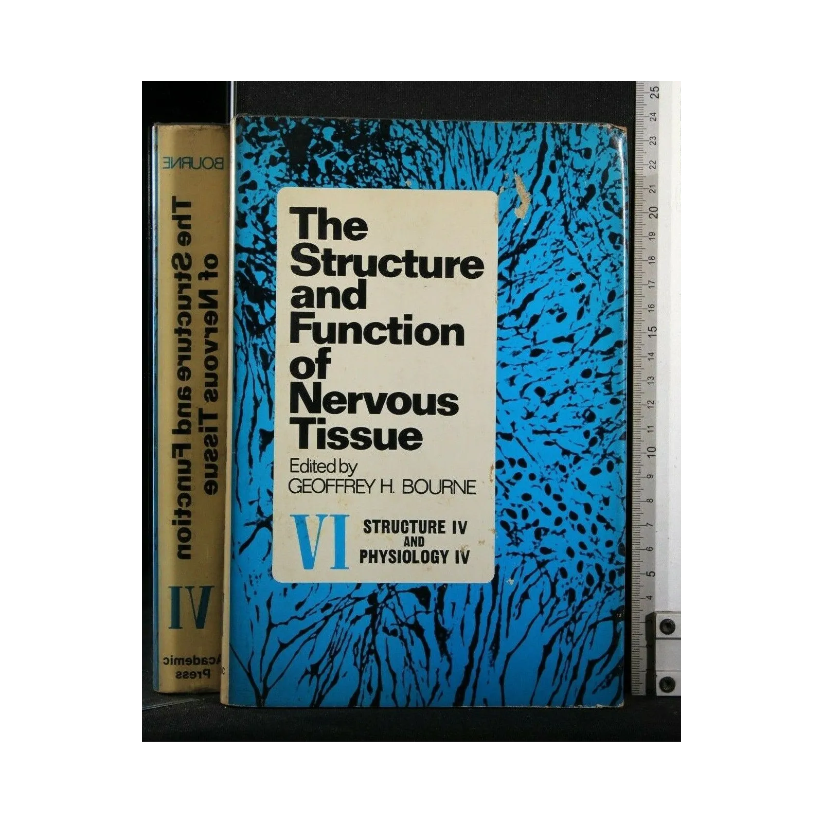 THE STRUCTURE AND FUNCTION OF NERVOUS TISSUE VOL. 6