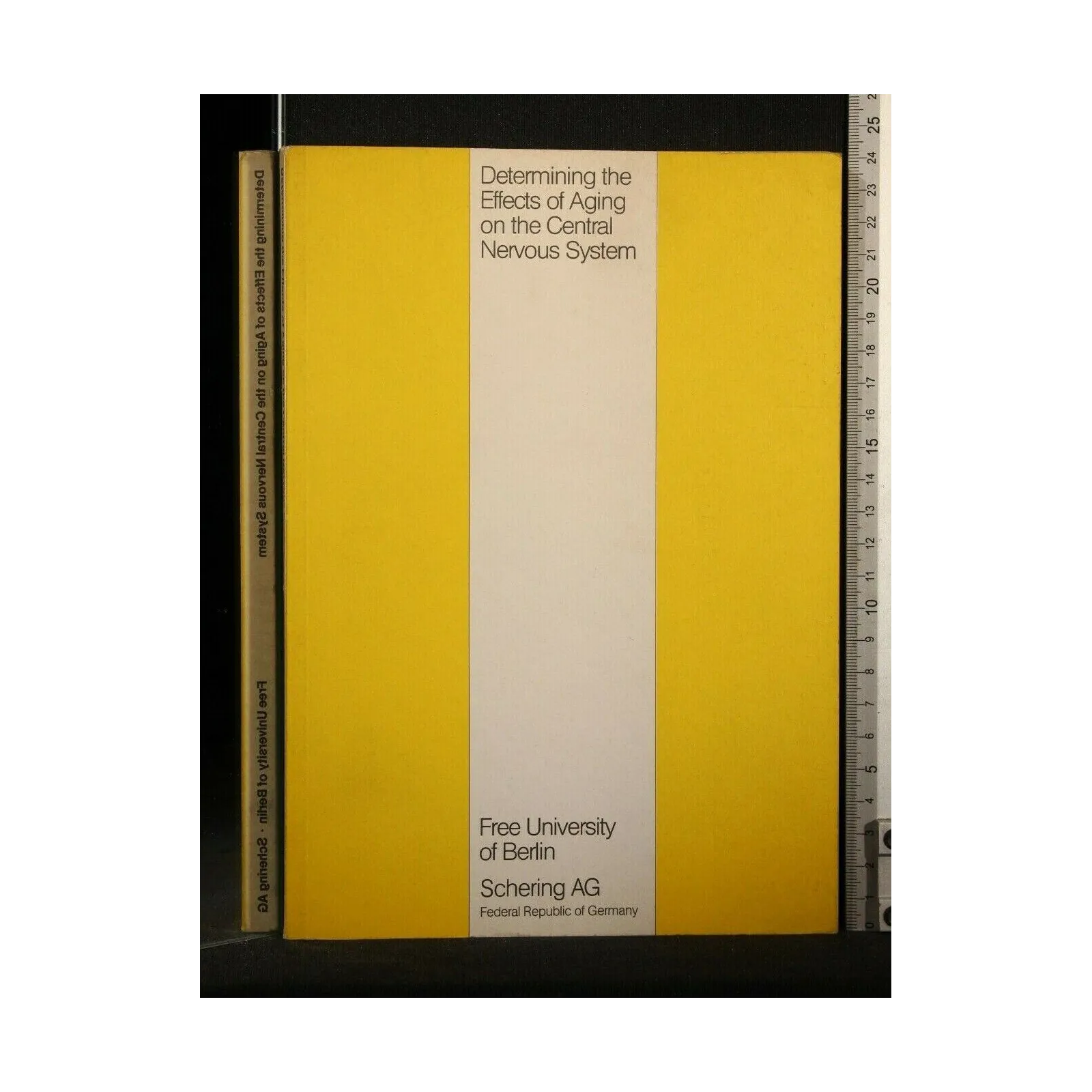 DETERMINING THE EFFECTS OF AGING ON THE CENTRAL NERVOUS SYSTEM