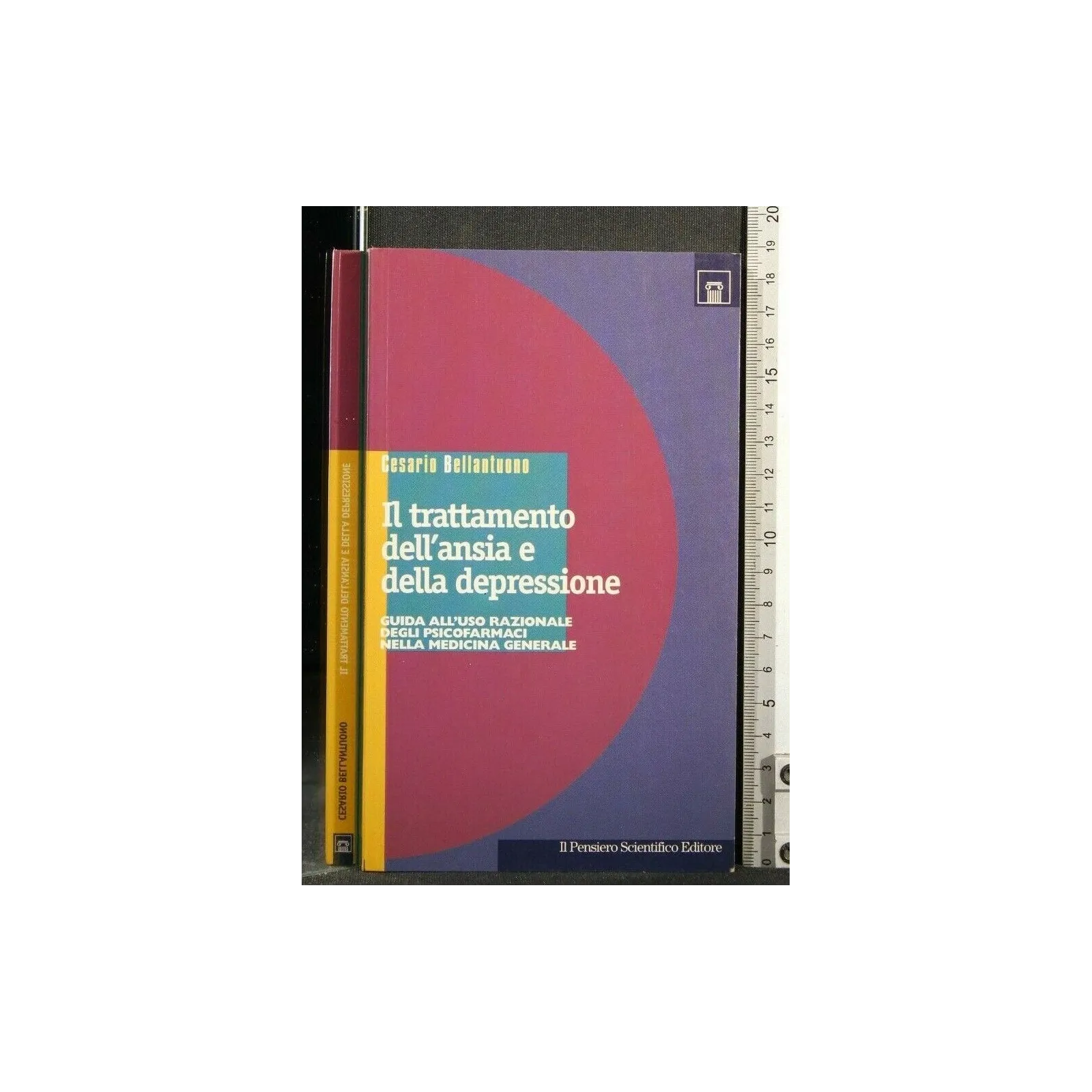 IL TRATTAMENTO DELL'ANSIA E DELLA DEPRESSIONE