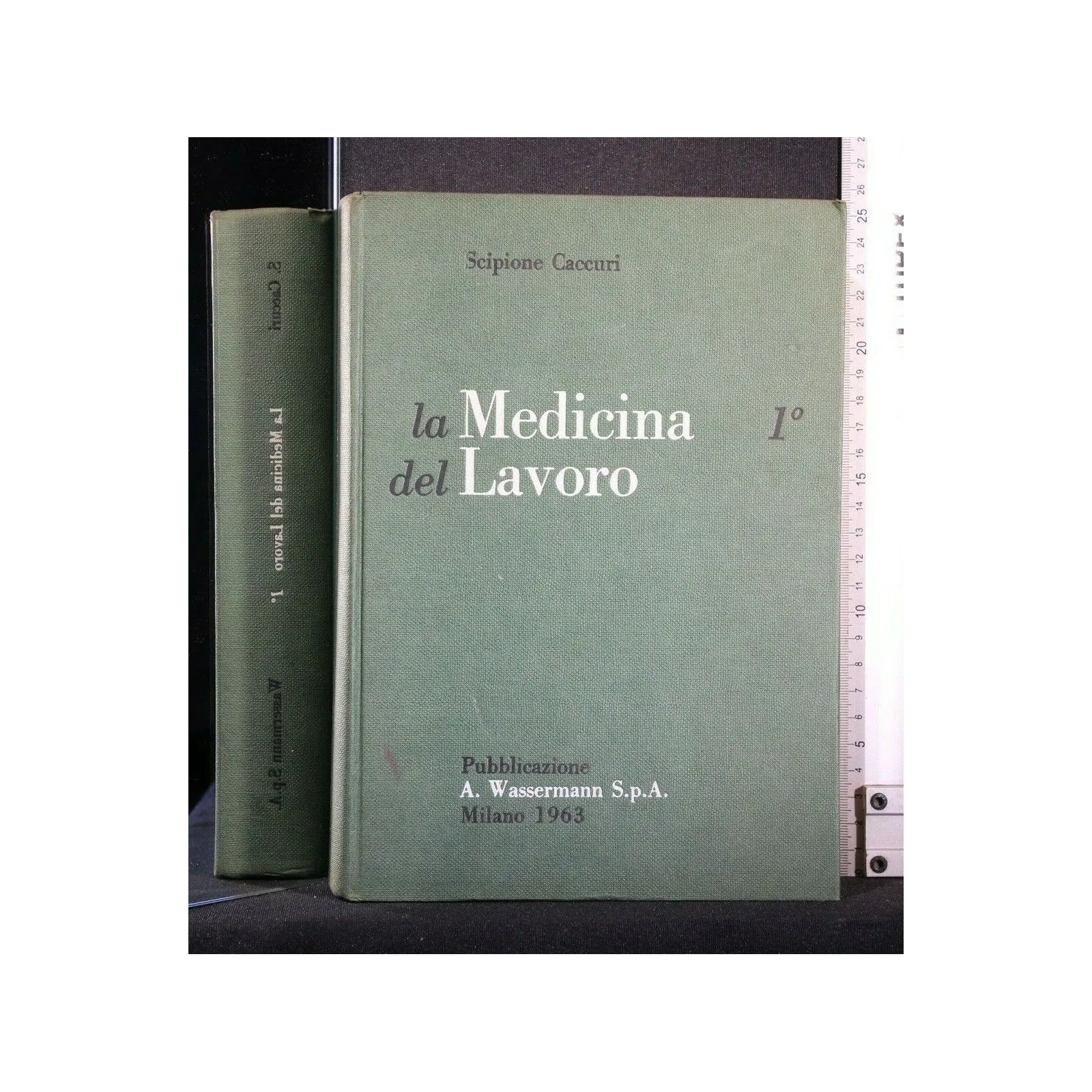 LA MEDICINA DEL LAVORO VOL. 1