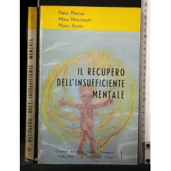 IL RECUPERO DELL'INSUFFICIENTE MENTALE 1