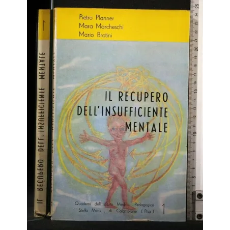 IL RECUPERO DELL'INSUFFICIENTE MENTALE 1