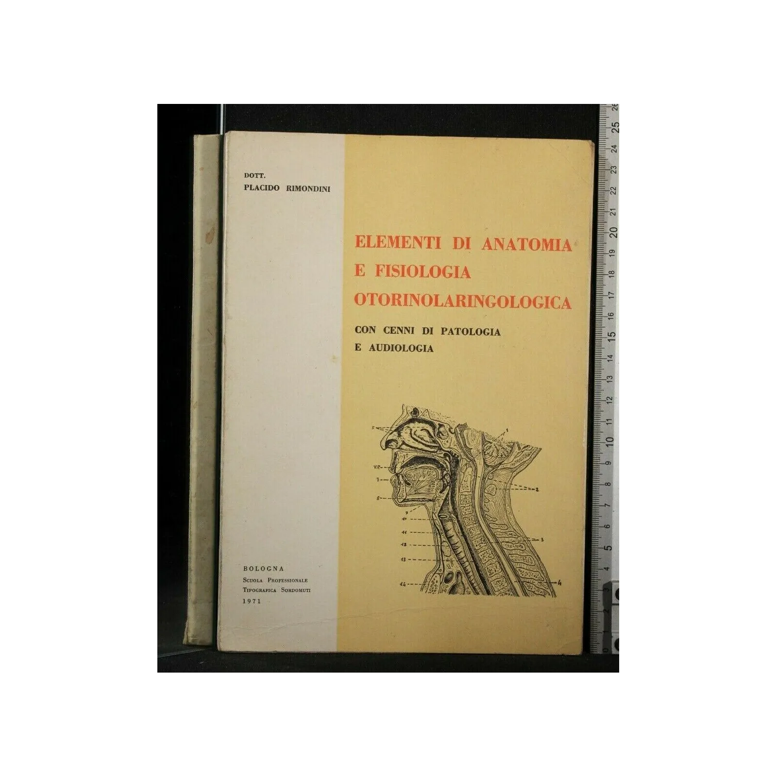 ELEMENTI DI ANATOMIA E FISIOLOGIA OTORINOLARINGOLOGICA CON CENNI