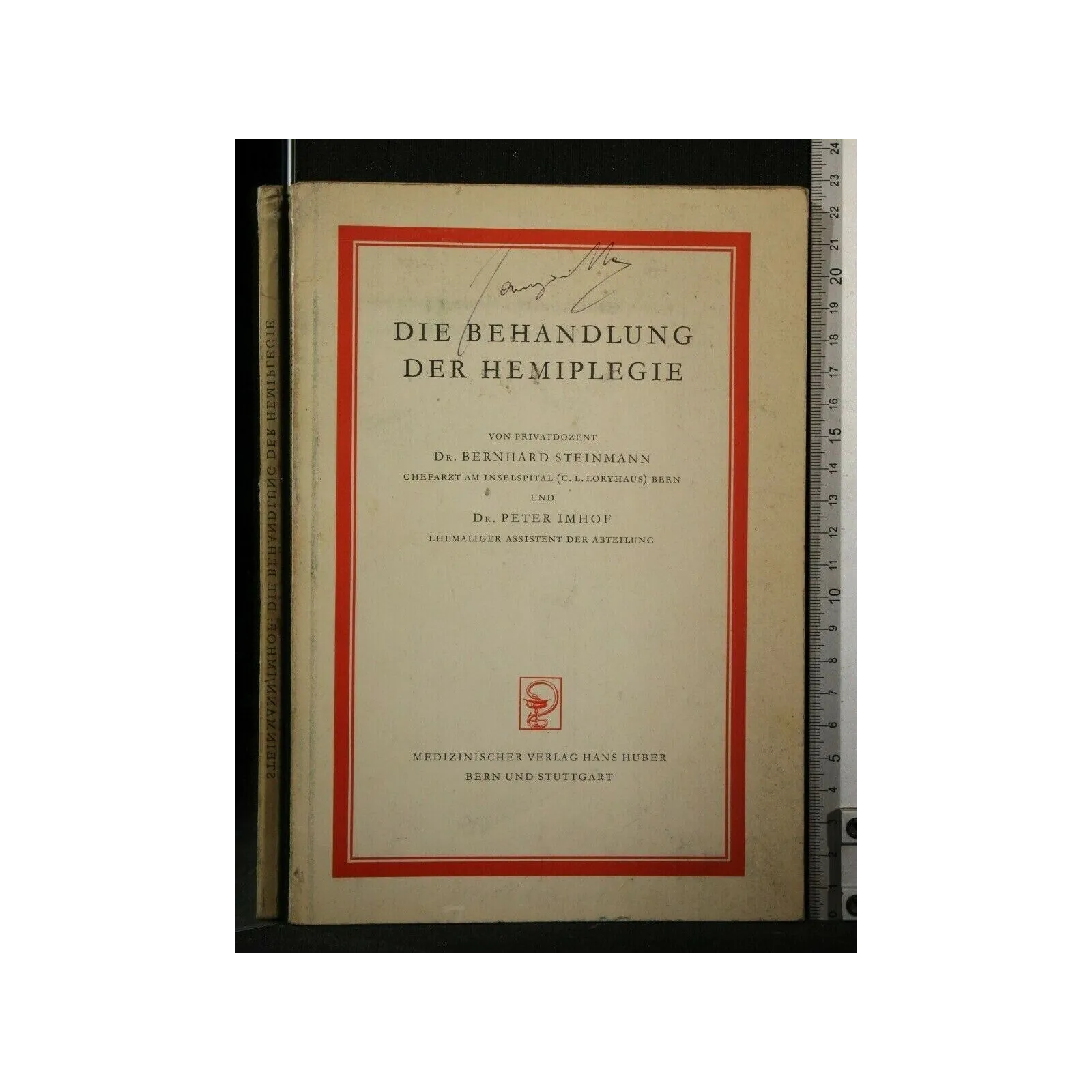 DIE BEHANDLUNG DER HEMIPLEGIE